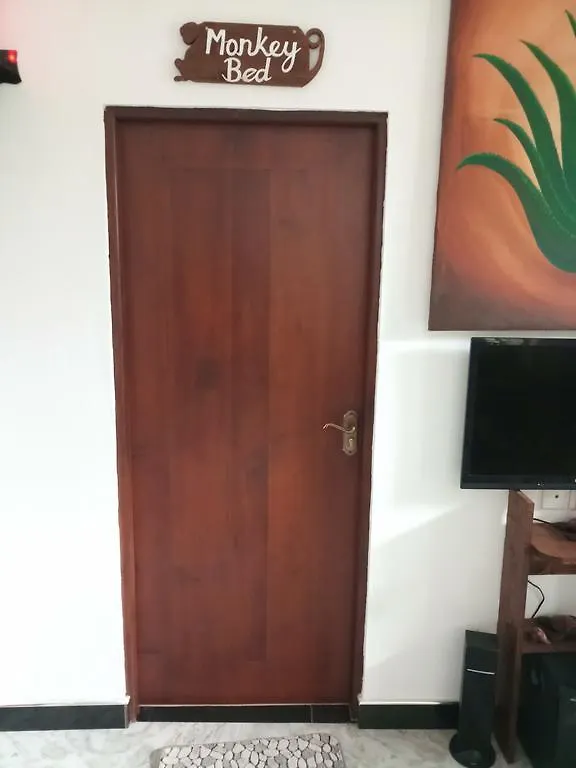 ** Gæstehus Yoho Aloe Vera Villa Negombo Sri Lanka
